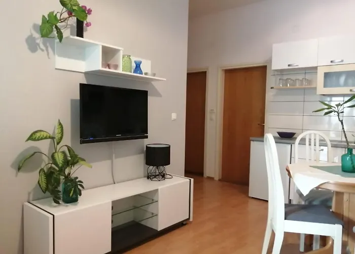Appartement Suri